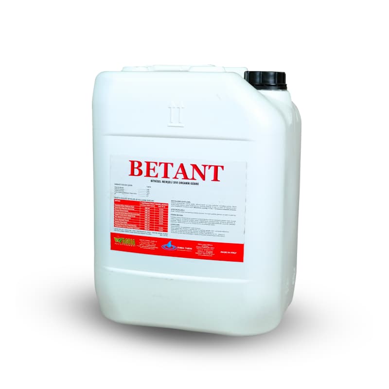 Betant