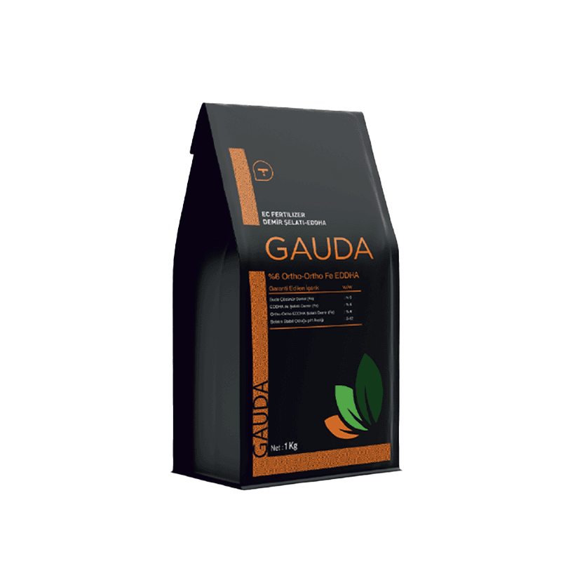 Gauda