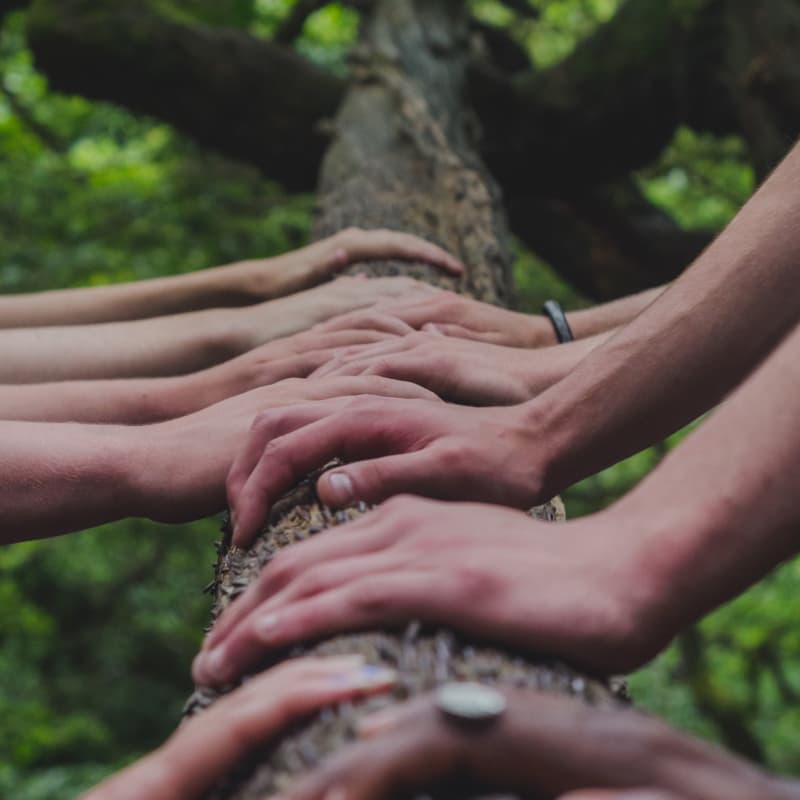 tarimsal-desteklerden-yararlanacak-en-sansli-13-orgut